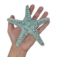 Estrela do Mar para Parede | Decoração Resina Acqua | Estilo Praia e Pousada - imagem 5
