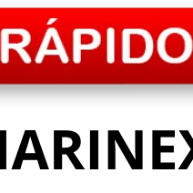 Lasanheira Marinex 5L: Prática, Elegante e Resistente - imagem 1