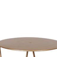 Tripé para Plantas 80cm – Design Moderno e Resistente - imagem 1
