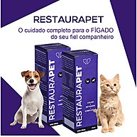 RestauraPet: Detox para o Fígado do Seu Pet - imagem 1