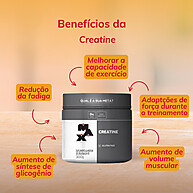 Creatina Max Titanium: Potencialize Seus Resultados! - imagem 2