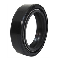 retentor-bengala-guia-completo-para-cb400450-agrale-e-intruder