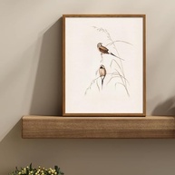 Arte de Parede Vintage Pássaros - Tela Retro Abstrata Decorativa 20,3cm - imagem 3