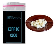 Kit Kefir de Leite de Coco Vivo + Frasco 500ml e Tampa Voal Reutilizável - imagem 2