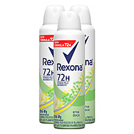Rexona Erva Doce 72h Kit com 3 Aerosóis – Proteção Total - imagem 1