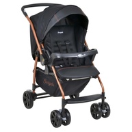 rio-para-a-bebe-conforto-passeios-com-k-seguranca-inesqueciveis-bebe-conforto-burigotto-de-e-carrinho-a