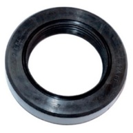 Retentor Roda e Rotativa Yanmar TC10-TC14S (1081N) 01684BRG - Durabilidade e Performance - imagem 1
