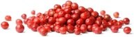 Pimenta Rosa em Grãos - Granel 100g (5) - imagem 1