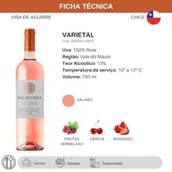 Vinho Rosé Chileno Sol de Chile Varietal 750ml - imagem 4