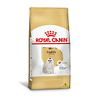 Royal Canin Maltês Adulto: Saúde e Beleza! - imagem 1