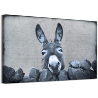Pôster de Burro em Preto e Branco - Arte Rústica para Decoração de Parede - imagem 1