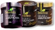 Geleia de Jabuticaba Tradicional 240g - Artesanal de Sabará/MG - Produto Vegano, Sem Glúten, Premium - Ideal para Pães, Queijos e Aperitivos - Decanto Suaçuí - imagem 4