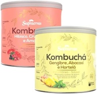 Kombucha Sabor Gengibre + Abacaxi E Hibisco + Cramberry 200gr 1 Pote de Cada - imagem 1
