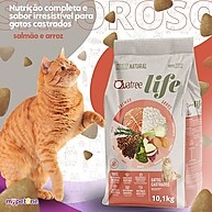 Quatree Life Gatos Castrados: Saúde e Sabor! - imagem 2