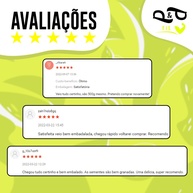 Semente de Abóbora Crua: 500g de Saúde e Sabor! - imagem 2