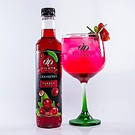 sabor-intenso-500ml-xarope-refrescante-dilute-cranberry-e