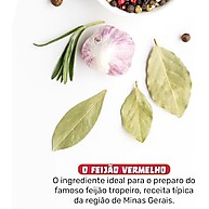 sabor-nutricao-feijao-e-500g-broto-legal-vermelho