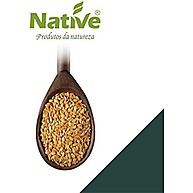 sabor-saude-organica-200g-dourada-native-linhaca-e
