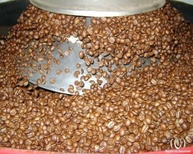 Café Especial em Grãos, 3 Opções de Sabores, Torras Fresca/Reserva Gourmet (Bourbon Amarelo) - imagem 2