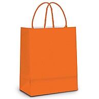 Sacola de Papel Laranja G: Elegância em 10 Unidades - imagem 1