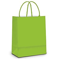 Sacola de Papel Verde: 10 Unidades para seu Negócio - imagem 1