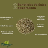 Salsa desidratada para chá ou tempero - 100g - imagem 5