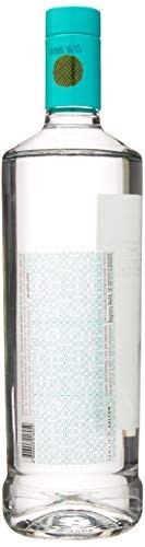 Salton Gin Theros 1000 Ml - imagem 3