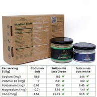 SaltWise Salicornia Green and White Salt Combo Pack, Low Sodium Healthy Salts, Seasoning Gift Set with Tote Bag and Salt Shaker (14.10 Oz/400g) - imagem 3