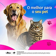 Hidrapet: Shampoo + Loção Bliss para Pets Saudáveis - imagem 2