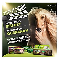 Queranon Pasta 70g: Suplemento para Gatos com Pelagem Brilhante e Saudável - imagem 2