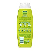 Shampoo Neutro Palmolive Naturals: Cabelo Limpo e Saudável - imagem 2