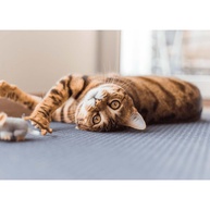 Arranhador Gatos 23cm: Diversão e Saúde! - imagem 2