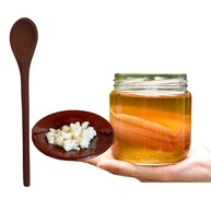 Scoby Kombucha Original Fermentação Caseira + Colher de Pau + Kefir de Coco - imagem 1