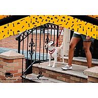 Coleira Peitoral Pet: Conforto e Segurança! - imagem 2