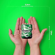 sem-spearmint-acucar-frescor-garrafas-6-xsenses-trident