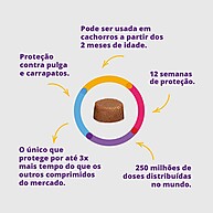 Bravecto: Proteja Seu Cão por 12 Semanas! - imagem 2