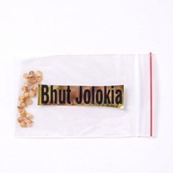 20 Sementes Bhut Jolokia Vermelha - imagem 1