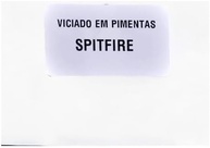 15 Sementes + 5 Sementes = 20 Sementes Spitfire - imagem 1