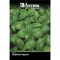 KIT 12 SEMENTES DE TEMPEROS Alecrim Cebolinha Coentro Cominho Hortelã Manjericão Orégano - imagem 2