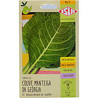 sementes-de-couve-manteiga-da-georgia-isla-multi-cultivo-organico-e-rendimento