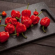 Sementes de Pimenta Valesca (Habanero Vermelha) FELTRIN - imagem 3