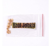 20 Sementes Bhut Jolokia Amarela - imagem 2