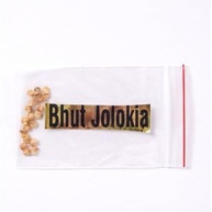 20 Sementes Bhut Jolokia Amarela - imagem 1