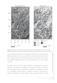 Sensoriamento Remoto da Vegetação: Domine a Análise com a 2ª Edição Atualizada - imagem 3