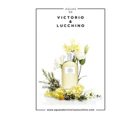 V&L Agua 1: A Essência Floral que Desperta Seus Sentidos - imagem 2
