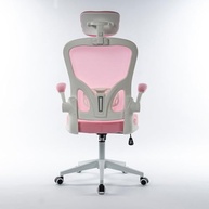 seu-rosa-home-e-conforto-de-ambiente-estilo-a-para-rohden-trabalho-cadeira-office-ergonomica-a