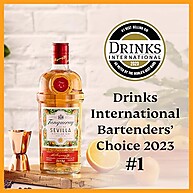 sevilla-gin-tanqueray-refrescante-700ml-citrico-e