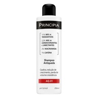 Shampoo Antiqueda Principia AQ 01: Crescimento & Volume - imagem 1