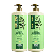 Shampoo Jaborandi Antiqueda 1L: Kit com 2 Unidades - imagem 1