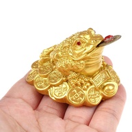 Sapo Feng Shui da Sorte - Decoração que Atrai Riqueza e Boa Energia - imagem 2